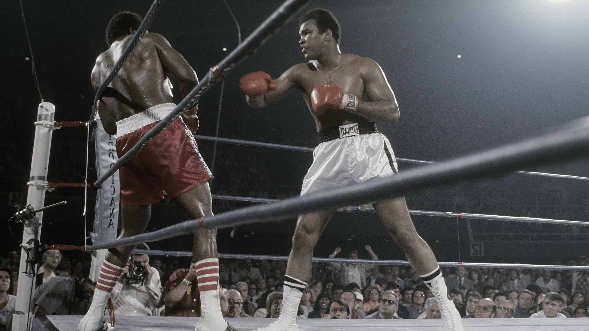 Ali vs lyle