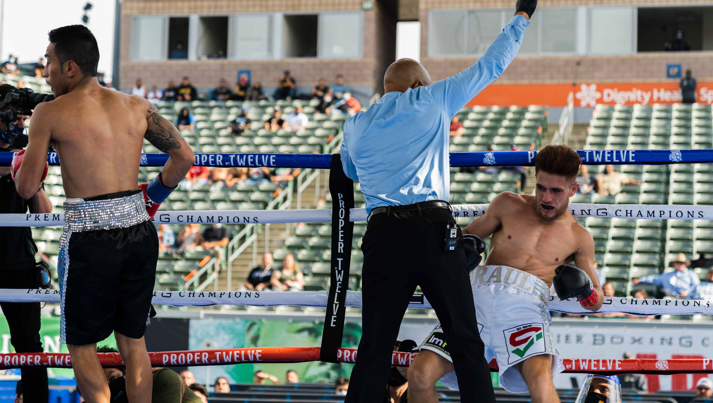 Isaac Avelar (Canelito), Boxer Page