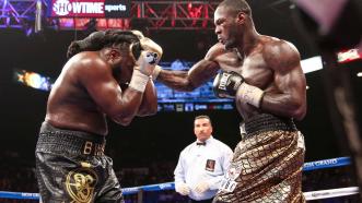 Deontay Wilder